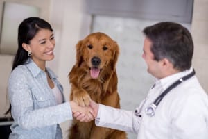 Communication Within the Veterinary Practice
