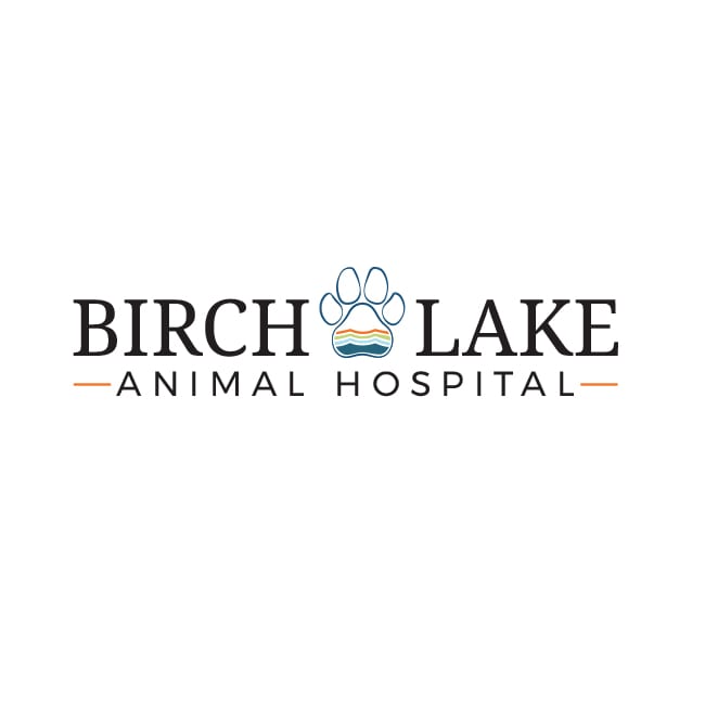 birchlake logo