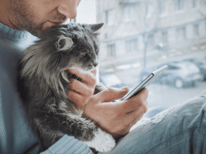 Micro-Moments in Marketing: Man Scrolling on Phone With Cat