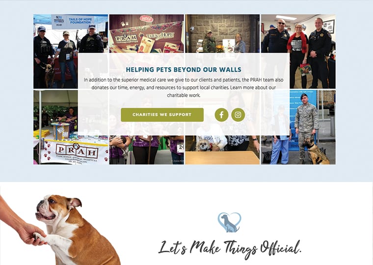 Homepage of Park Ridge Animal Hospital Website