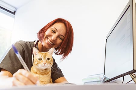 Vet tech writing notes with a cat: Digital Marketing Trends in Highland