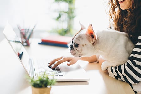 Woman with her dog working on a laptop: Digital Marketing Trends in Highland