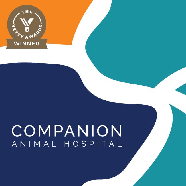 companion logo example2