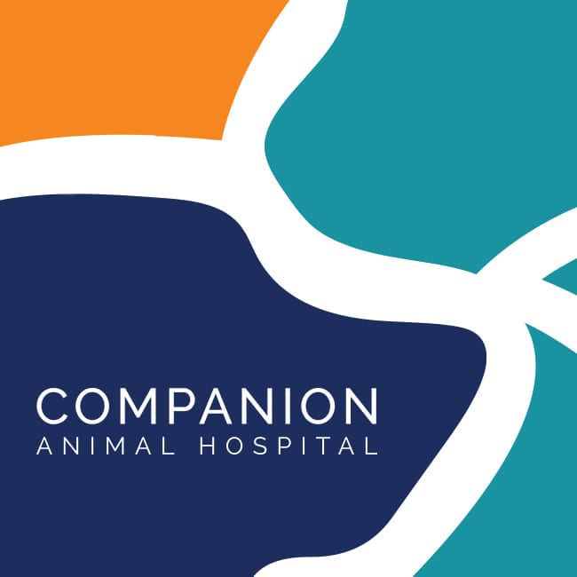 companion logo example2 new
