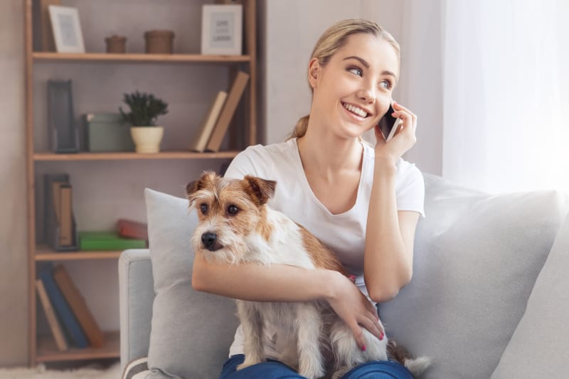 5 Reasons Why Your Veterinary Practice Needs Custom On Hold Messages