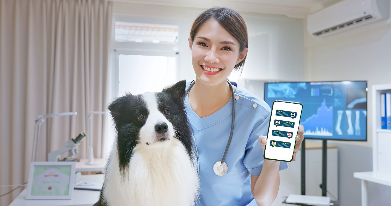 Veterinarian with good reviews