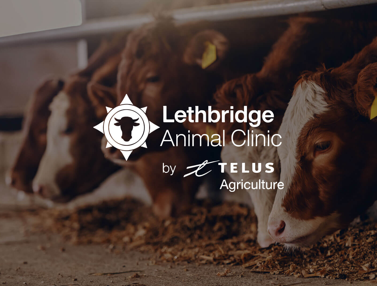 Lethbridge Animal Clinic