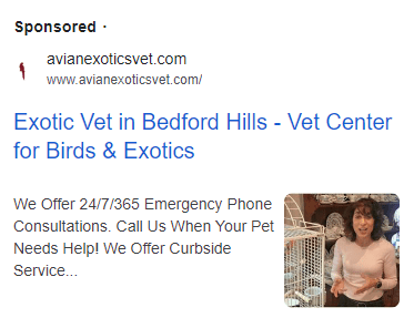 Avian Exotics ad