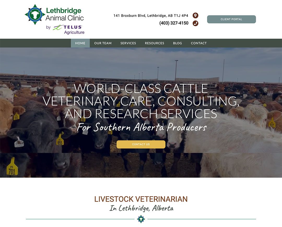 Lethbridge homepage