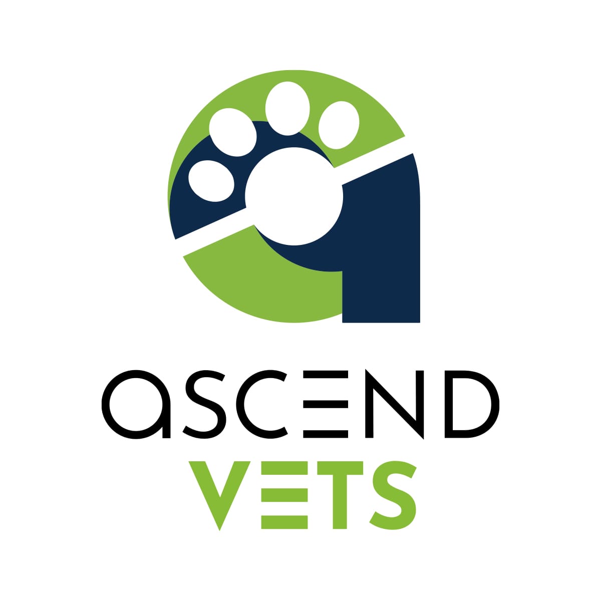 <span style="font-size: 21px;"><strong>Ascend Vets</strong></span><br>
Logo design