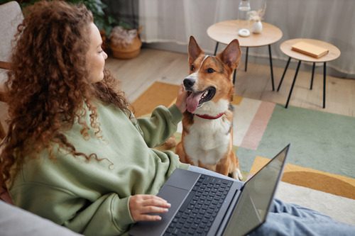 female-pet-owner-with-laptop-in-her-lap-while-petting-her-dog