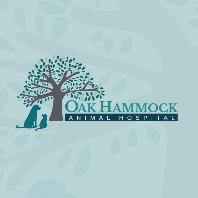 <span style="font-size: 21px;"><strong>Oak Hammock<br> Animal Hospital</strong></span><br>
Logo design