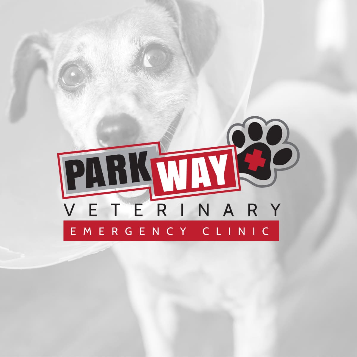 <span style="font-size: 21px;"><strong>Parkway Veterinary<br> Emergency Clinic</strong></span><br>
Logo design
