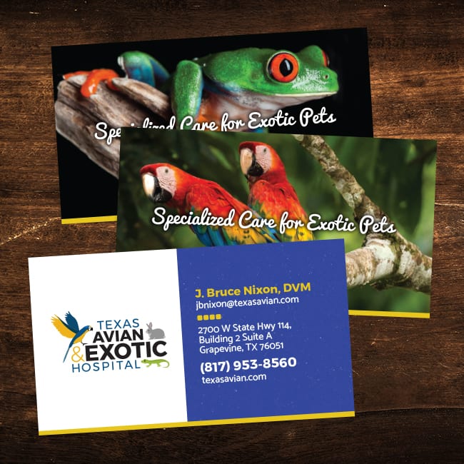 <span style="font-size: 21px;"><strong>Texas Avian &<br>Exotic Hospital</strong></span><br>
Business card design