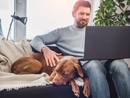 man-sitting-on-the-couch-with-laptop-in-his-lap-and-dog-laying-next-to-him