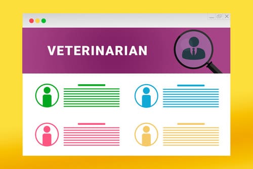 graphic-of-website-with-veterinarian-as-header