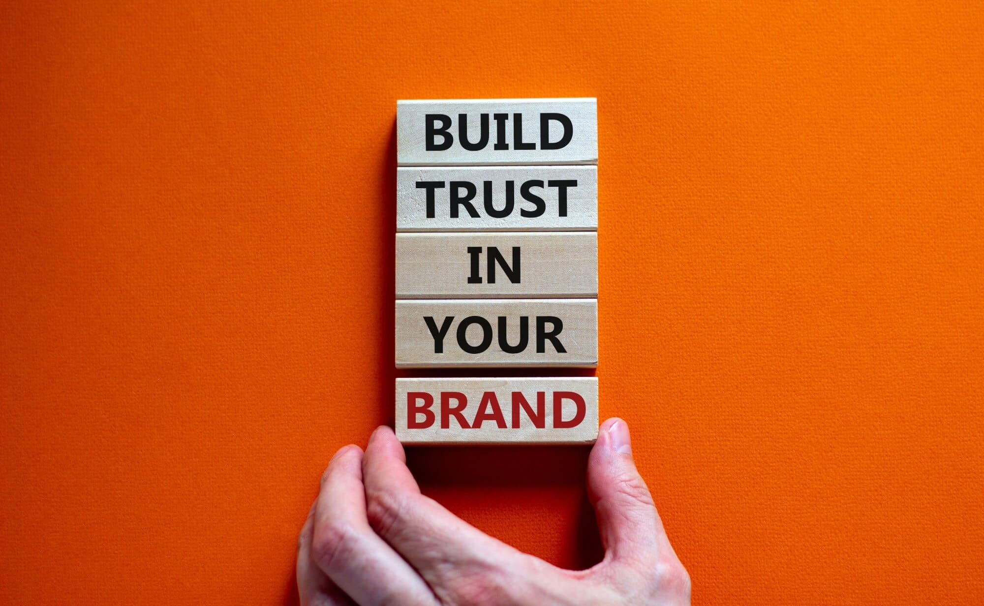 Stacked blogs ready Build Trust in Your Brand