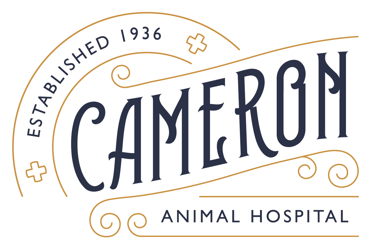 Cameron Animal Hospital main logo