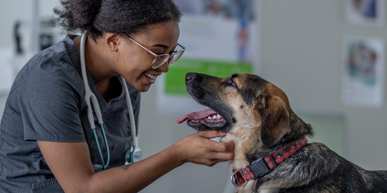 vet enjoying her visit with a dog
