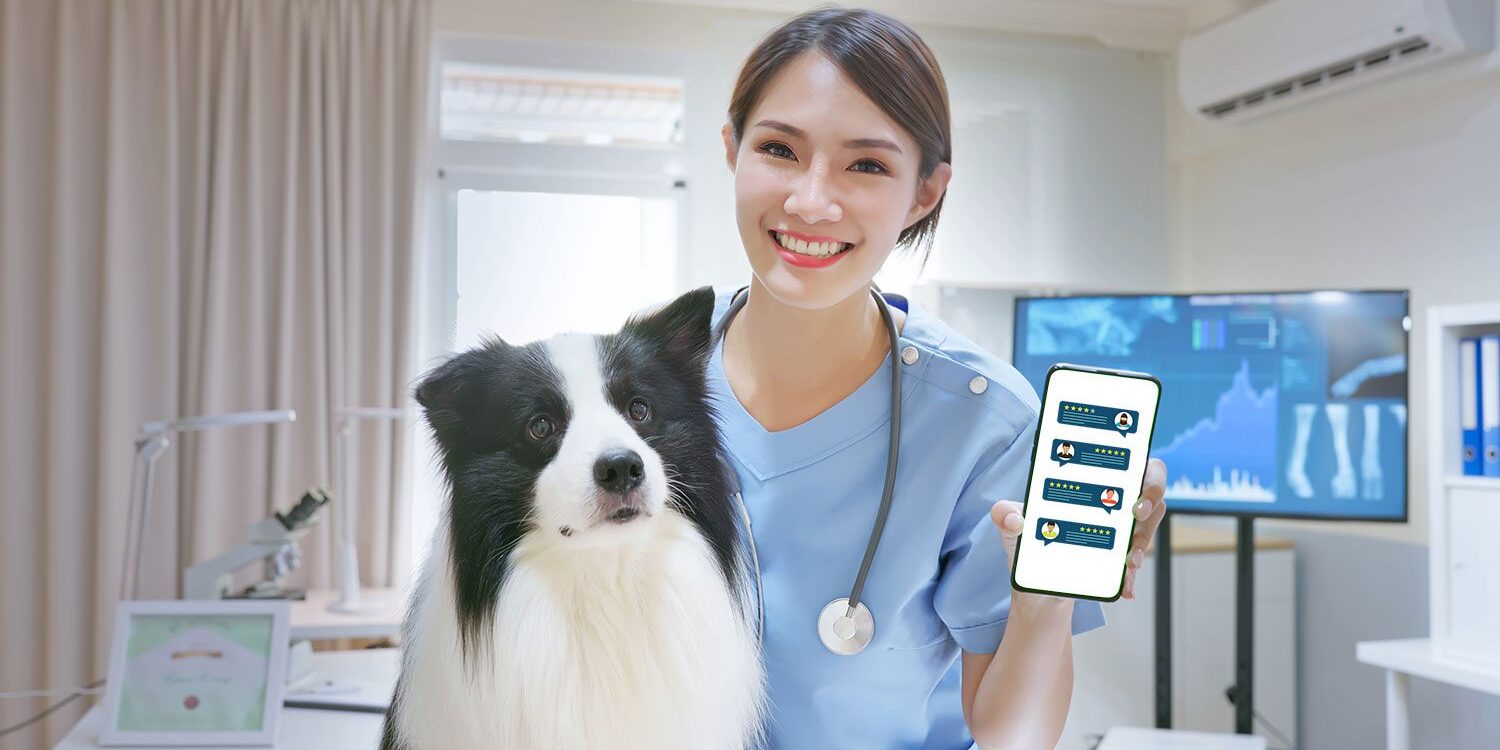 Veterinarian with good reviews