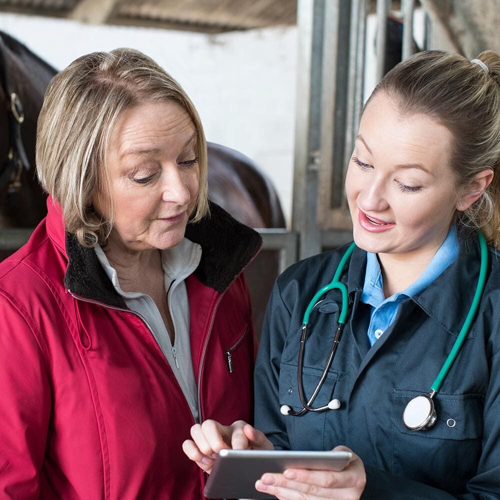equine-veterinarian-shows-owner-website-on-tablet
