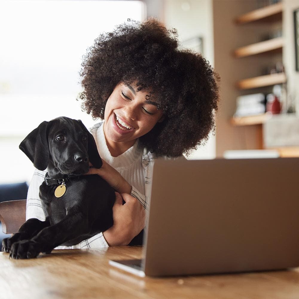 happy-dog-owner-on-computer