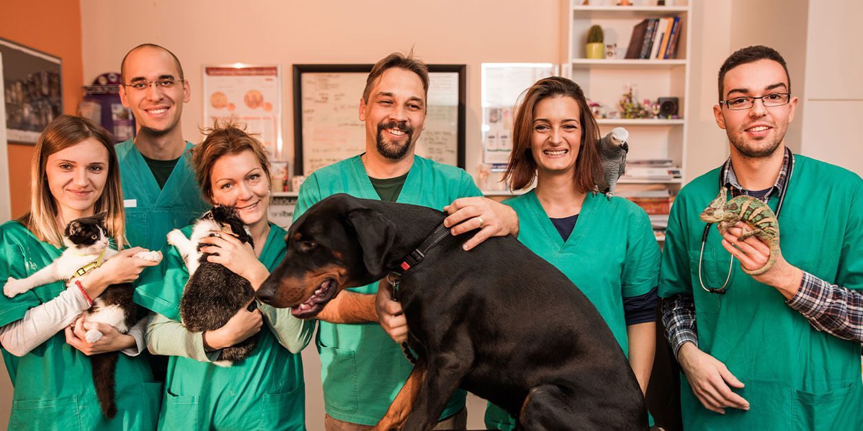 veterinary-team
